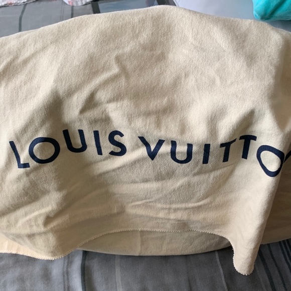 Louis Vuitton handbag EUC! - Picture 4 of 5